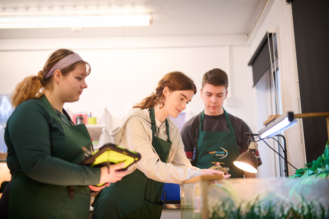 Animal Care Course Info