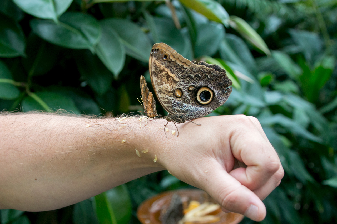 Conservation Science Animal Info