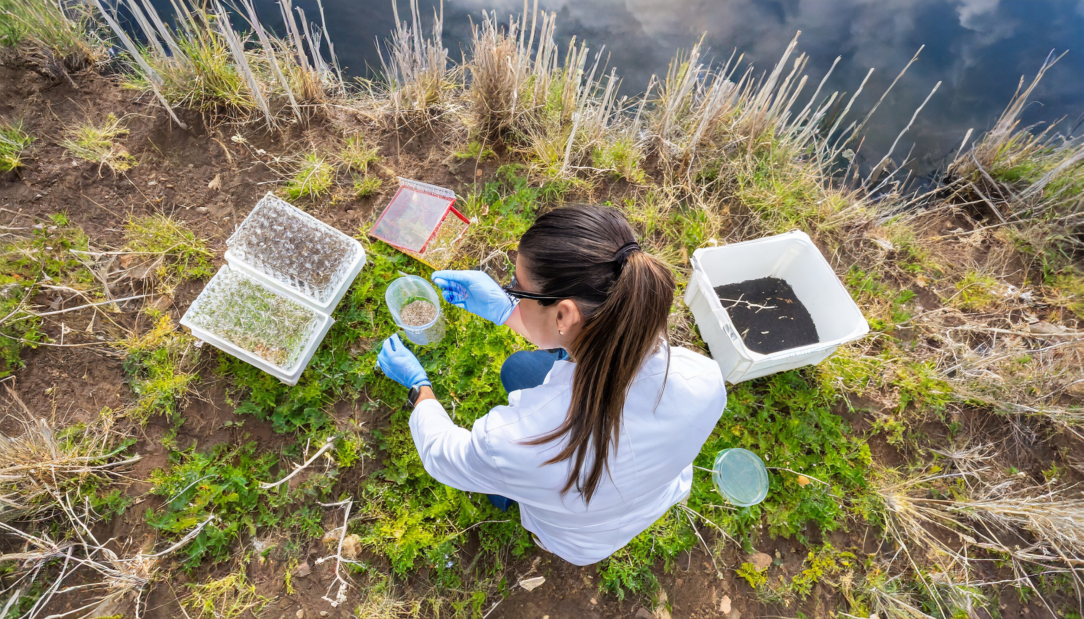 Conservation Science Info