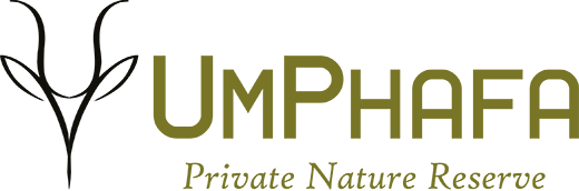 UmPhafa Nature Reserve